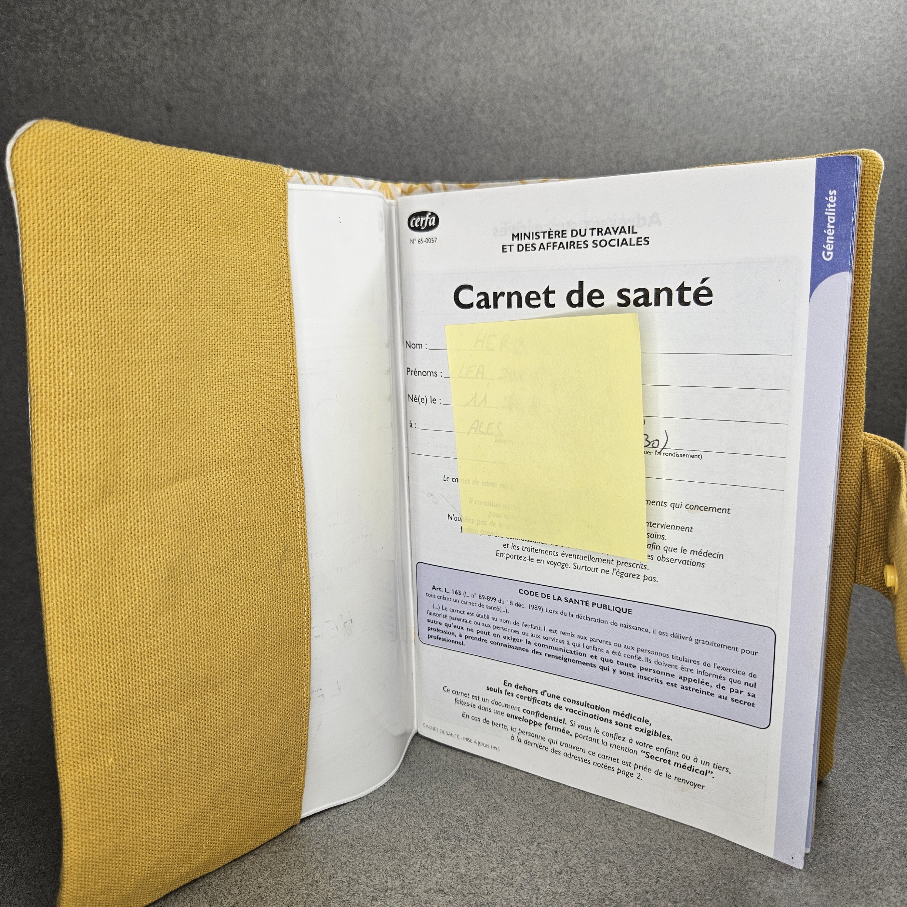 Photo produit carnet de sante girafe avec carnet